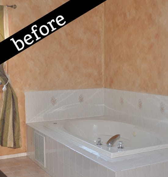 Before photo of master bath tub