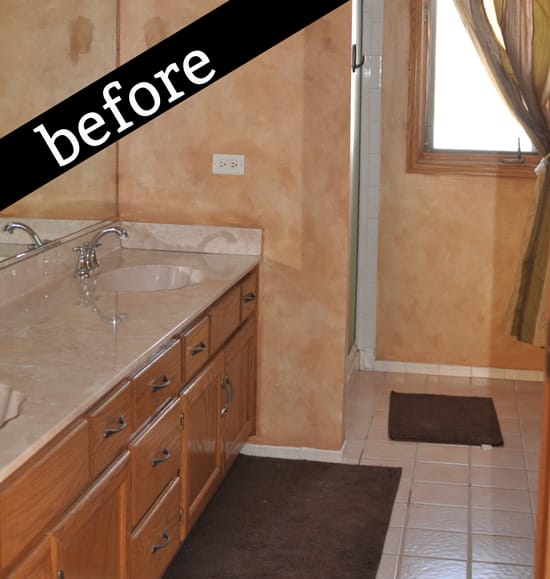 before photo of master bath