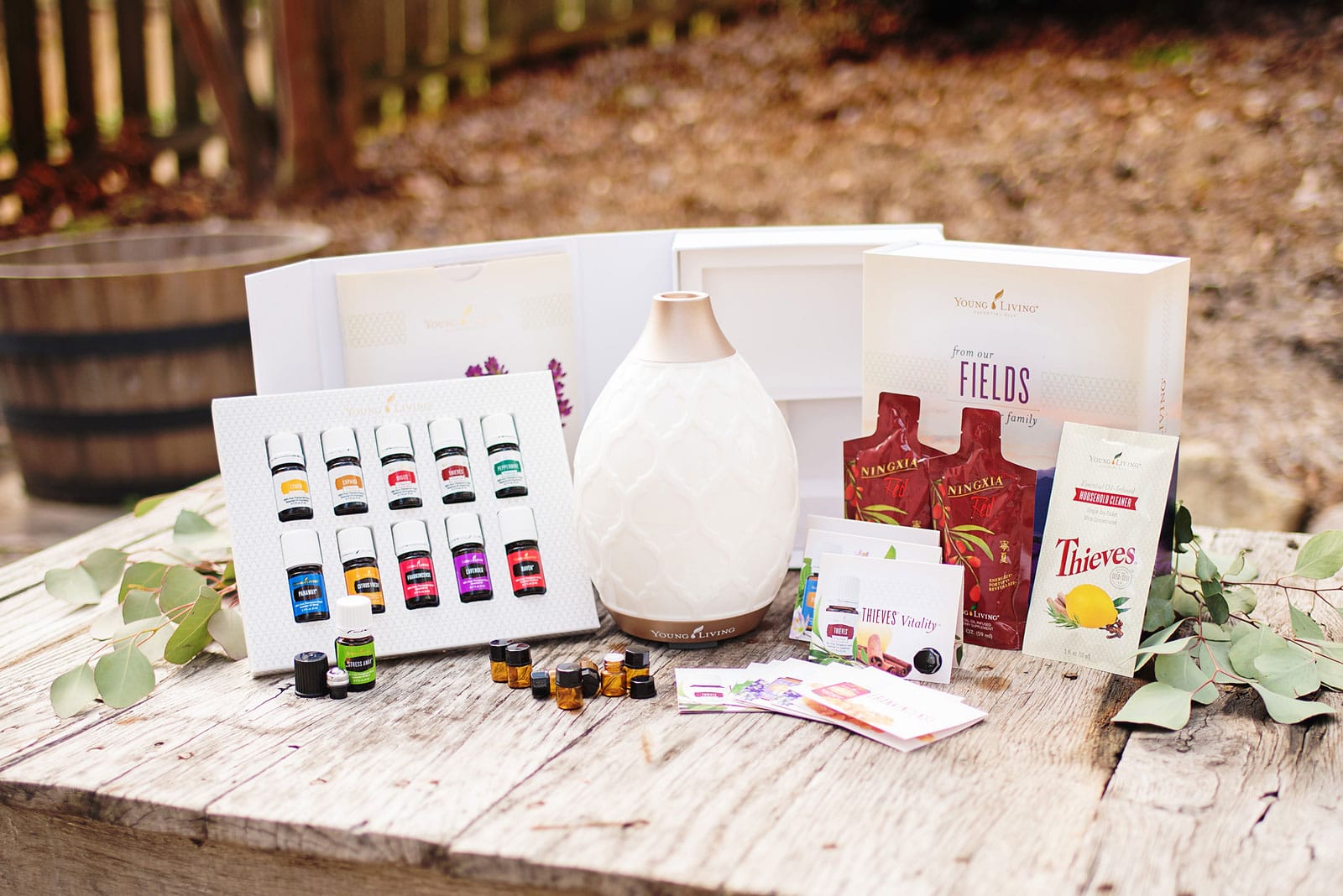 Desert_Mist_PSK_Horiz-low-res