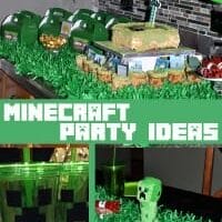 Minecraft-party-pin