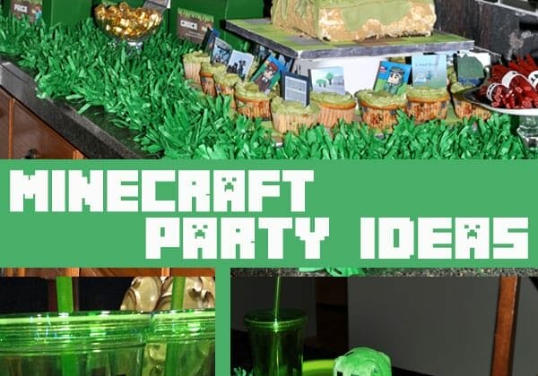 Minecraft-party-pin