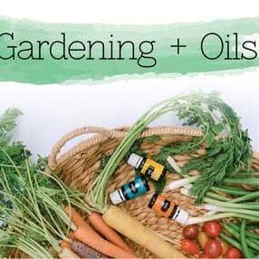gardening-400 gardening-400
