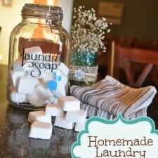 Homemade Laundry Tabs